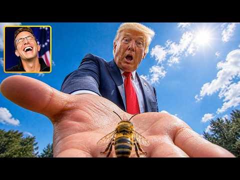 A Bee Just Landed on Trump | His Reaction BROKE The Internet 🤣