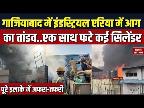Ghaziabad Industrial Area Fire: गाजियाबाद में लगी भीषण आग, Electronics Co. में हुई आगजनी, मचा हड़कंप